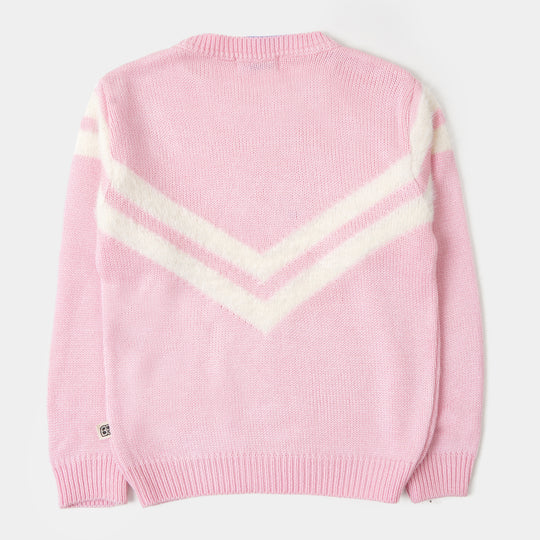 Girls Sweater Winter Wear - Pink