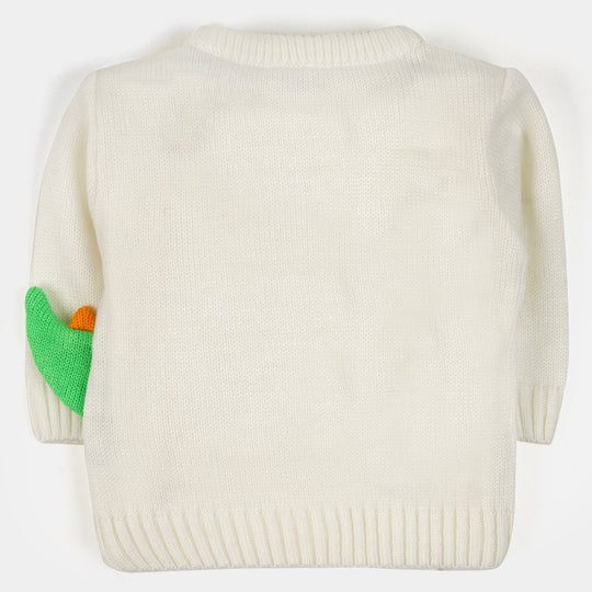 Infant Boys Sweater Nature - White