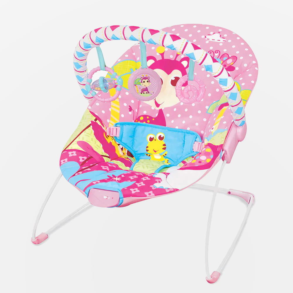 Music & Vibrating Baby Bouncer